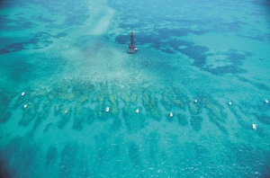 John Pennekamp Coral Reef State Park | Key West